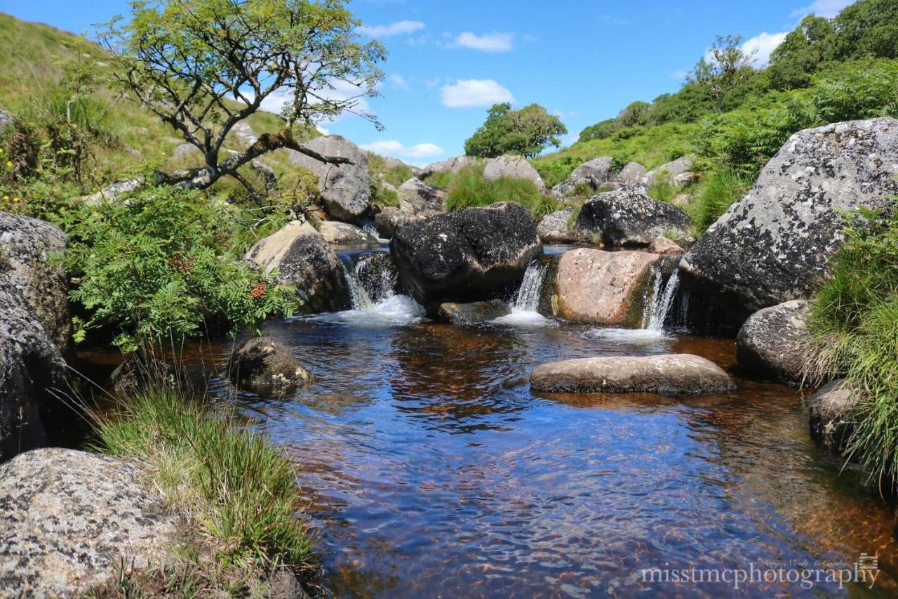Dartmoor Reach Alpaca Farm Heated Cabins 5 Mins Drive To Dartmoor Бови-Трейси Экстерьер фото