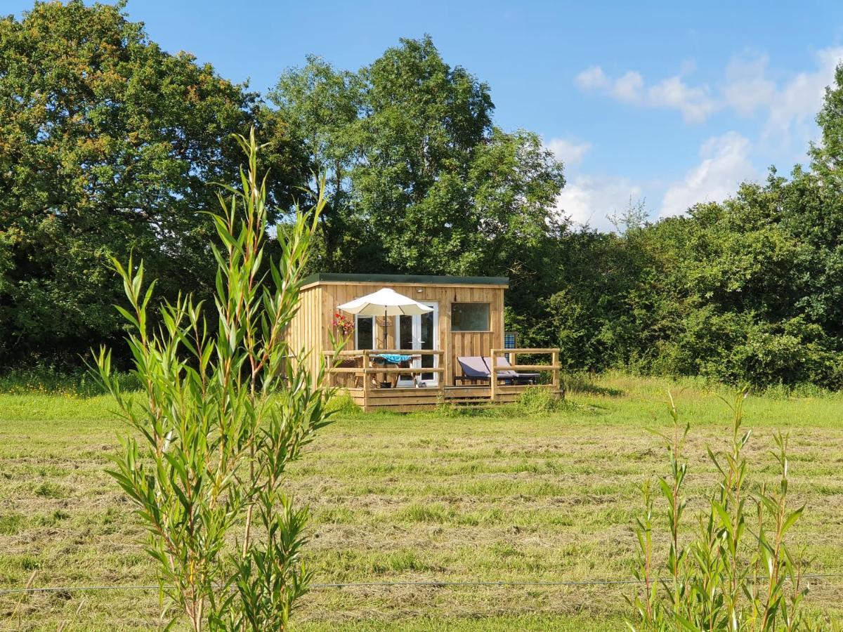 Dartmoor Reach Alpaca Farm Heated Cabins 5 Mins Drive To Dartmoor Бови-Трейси Экстерьер фото