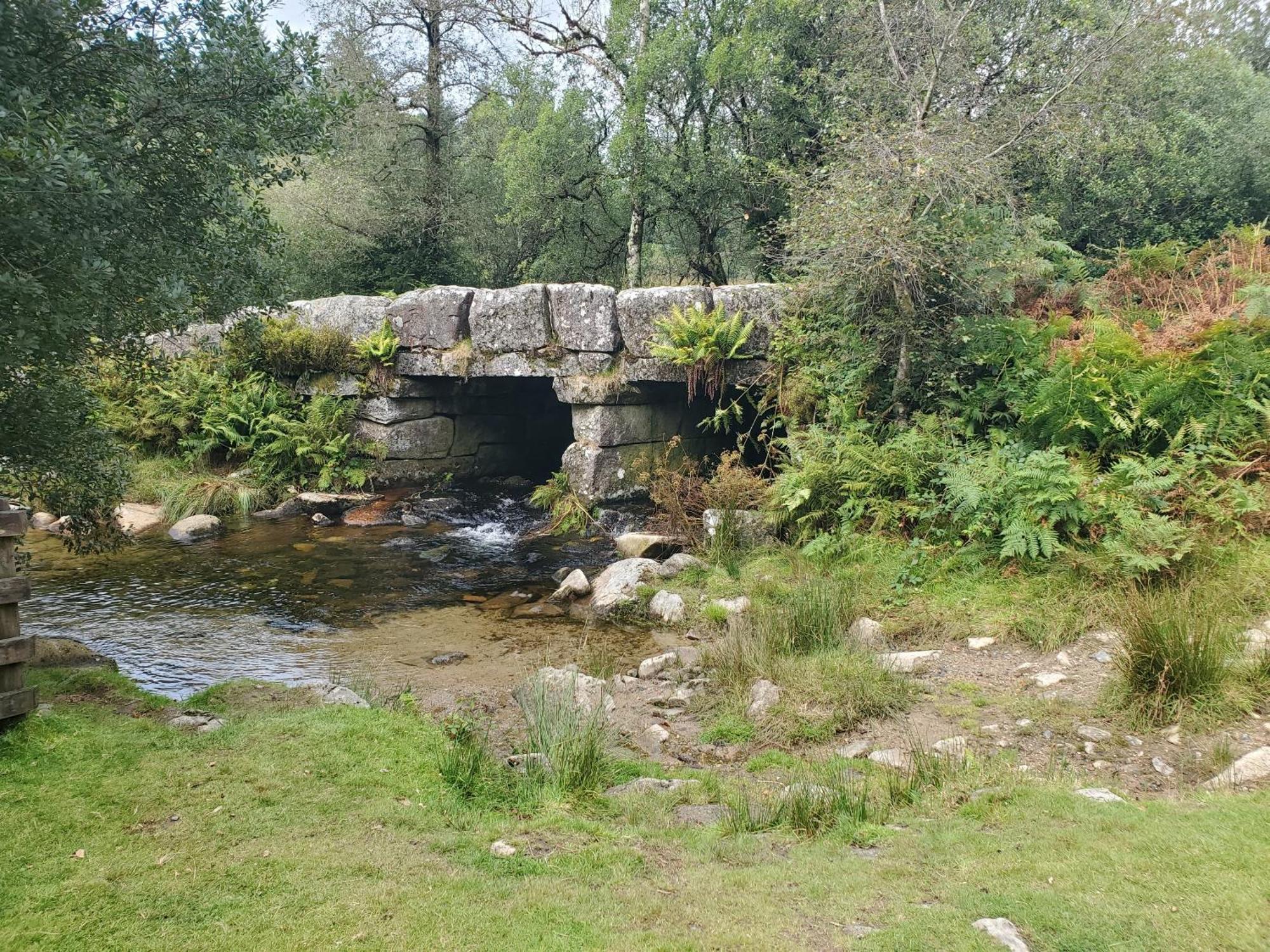 Dartmoor Reach Alpaca Farm Heated Cabins 5 Mins Drive To Dartmoor Бови-Трейси Экстерьер фото